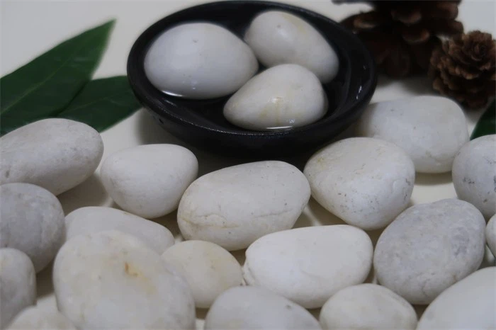 Diy Pebble Stepping Stones best